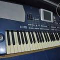Альбом - Korg  pa 500