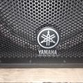 Альбом - Активні колонки Yamaha DSR-112. Нові,  Ціна 1700$+торг   0672633041 Іван.