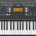 Альбом - Синтезатор Yamaha PSR-E343 + блок питания (PA3C) 