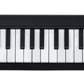 Альбом - Korg micro key air 49