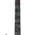 Альбом - УВАГА - НОВИНКА !!! IBANEZ JEM70V SFG Электрогітара.Ціна: 18 300 гр.Тел: 067 900 72 35