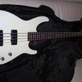 Альбом - Бас гитара Peavey Fundation (USA)-300у.е