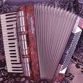 Альбом - акордеон WELTMEISTER DIANA-повний 11/3 регістра.