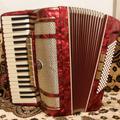 Альбом - Акордеон GALOTTA CONTINENT II 7/8