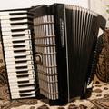 Альбом - Акордеон WELTMEISTER DIANA повний 11/3 регістри