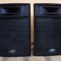 Альбом - Продам колонки PEAVEY ST 15, не дорого! 8300грн.