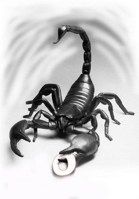 eskizy_tatu_skorpiony_na_grudi_na_spine_na_pleche_56c0354410b16.jpeg|Соляр Мар'ян