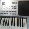 Альбом - korg pa 50