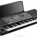 Альбом - Korg PA600 (НОВИЙ) - 10 000грн