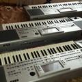 Альбом - KORG PA-80HD.made in italy.