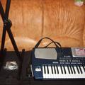 107823663_2_1000x700_prodam-korg-pa-500-fotografii_rev006.jpg|Соляр Мар'ян 