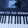Альбом - Arranger Workstations yamaha psr s 750