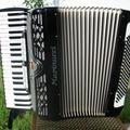 Альбом - акордеон