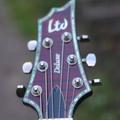 esp-ltd-h-1001fm-stbc-deluxe_4.jpg|Соляр Мар'ян 