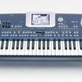 Альбом - KORG PA-500