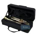 Альбом - Труба Thomann TR 200 Bb-Trumpet 160$
