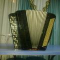 Альбом - Продам заказний готовий баян!