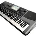 Альбом - KORG PA900  2000$
