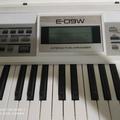 Альбом - Продам Roland E-09W