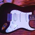 Fender Standard Stratocaster HSS RW Midnight Wine	 — |Соляр Мар'ян 