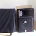 Альбом КОЛОНКИ PEAVEY SP 2G