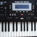 Альбом - Синтезатор ROLAND E-300