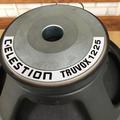 Альбом - Celestion Tryvox 1250