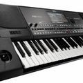 Альбом - KORG PA 600 (NEW)