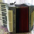 Альбом - Куплю неробочий акордеон