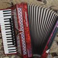 Альбом - Акордеон нiмецький Royal Standard Montana